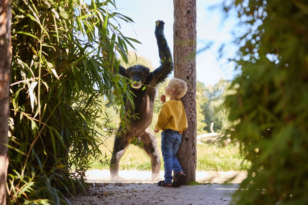 Eindhoven zoo- September shoot